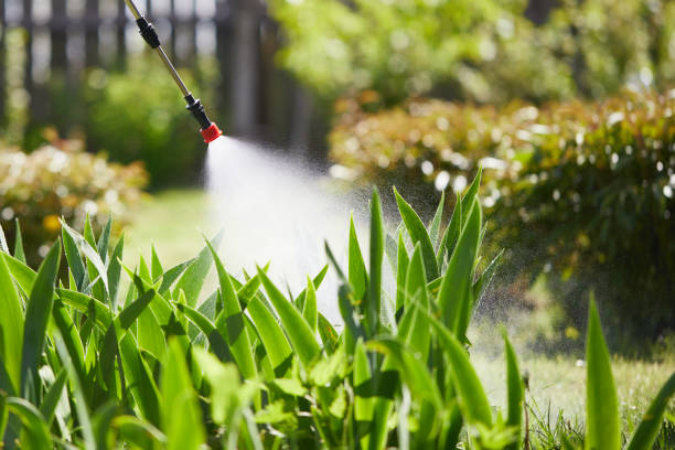 24/7 Emergency Wasp Removal experts in Marysville, PA